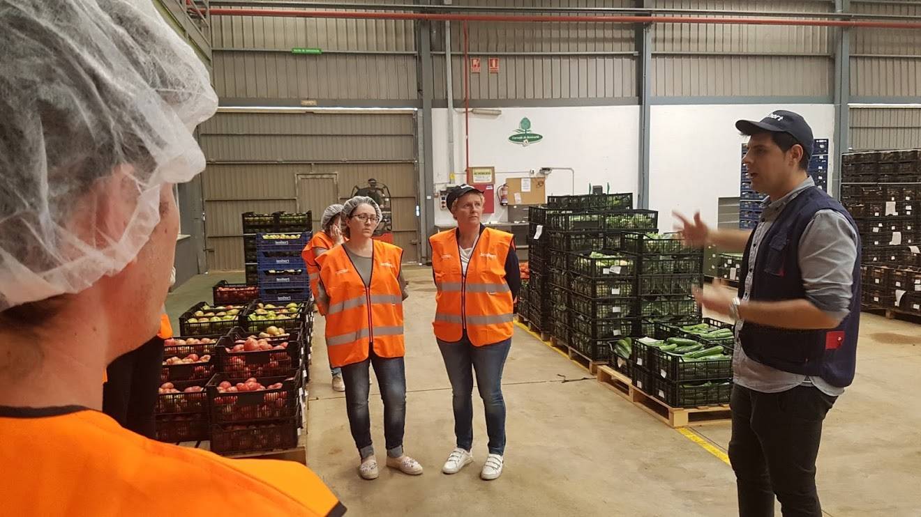 benihort 2|benihort 1|20180608_113741